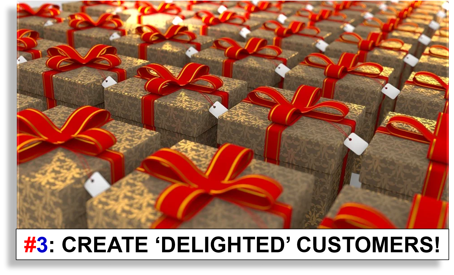 3 Create Delighted Customers