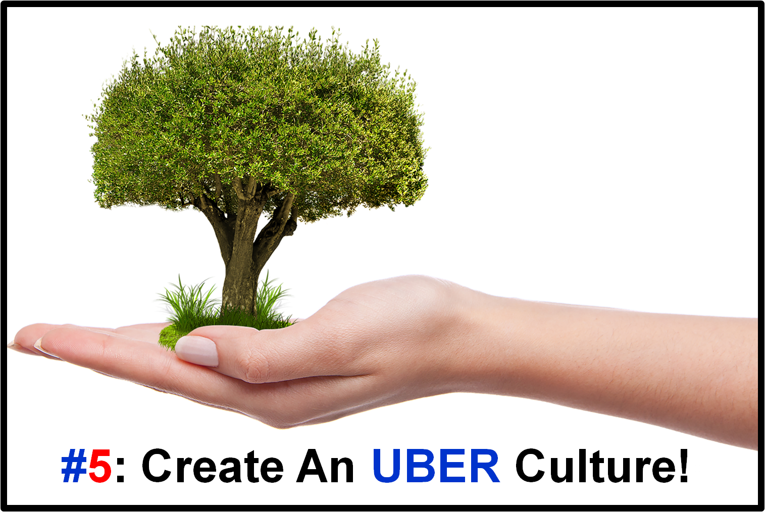 5. Create An UBER Culture Icon